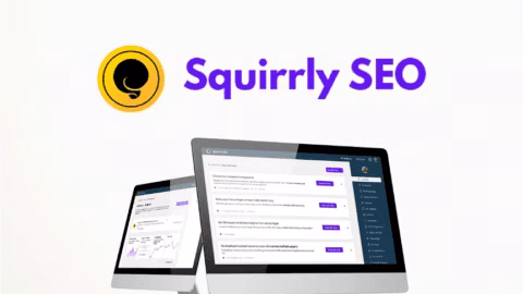 SquirrlySEO [Back in Sumoday 2024]