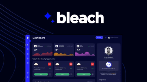 Bleach Cyber