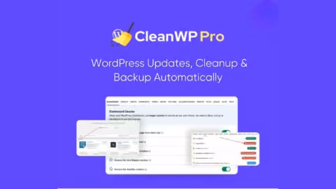 CleanWP Pro